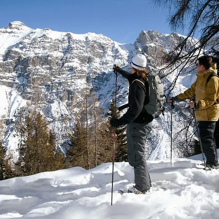 Almhof Hotel Neustift im Stubaital