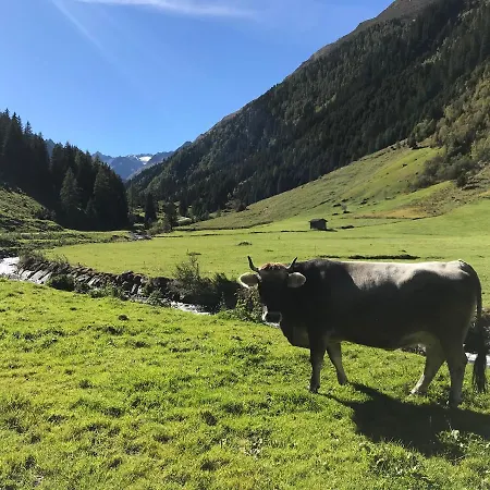 Hotel Almhof Neustift im Stubaital